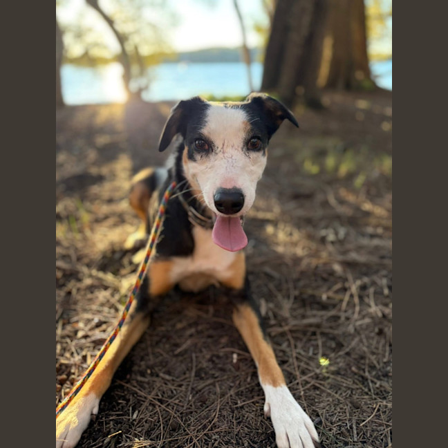 Photo of Ruby