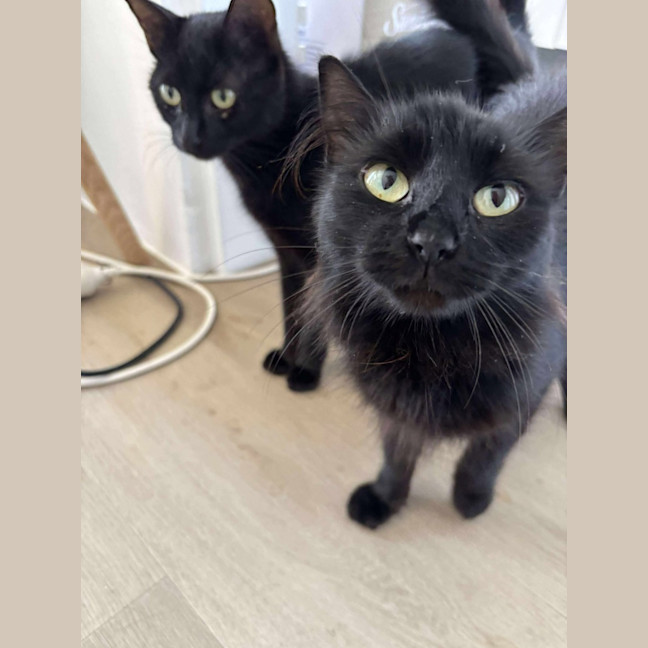 Photo of Bella And Bonnie