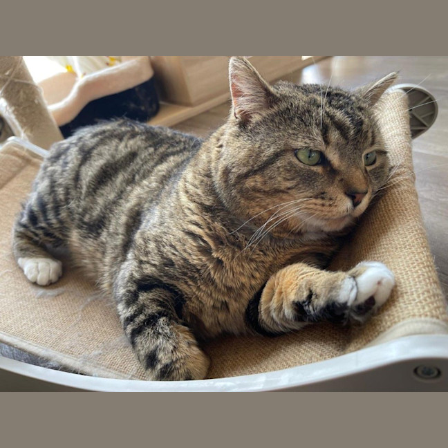 Photo of Bryant Russelton