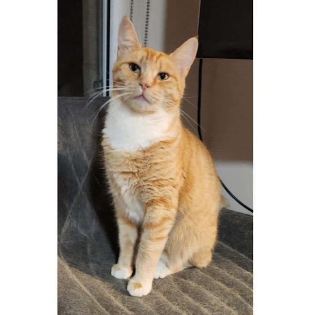 Photo of 11839   Midge