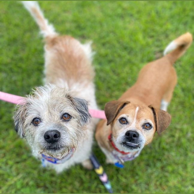 Photo of Elly May And Molly