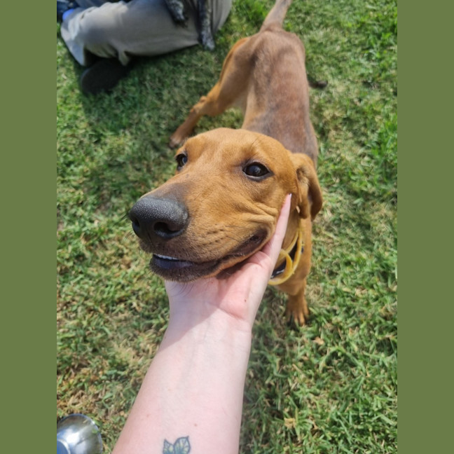 Photo of Snoop