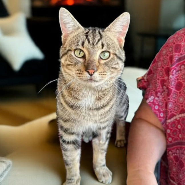 Photo of Huxley