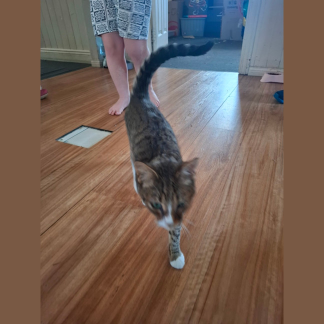Photo of Buddy
