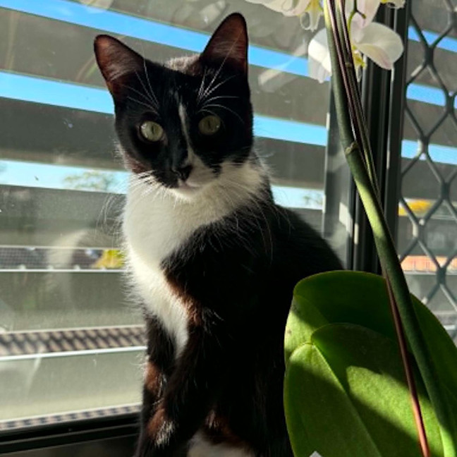 Photo of Jasmine