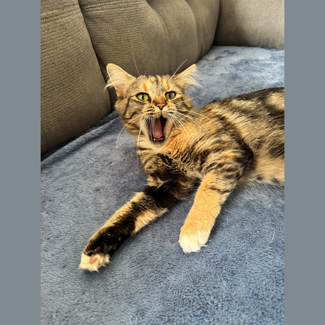 Photo of Samara Mae 