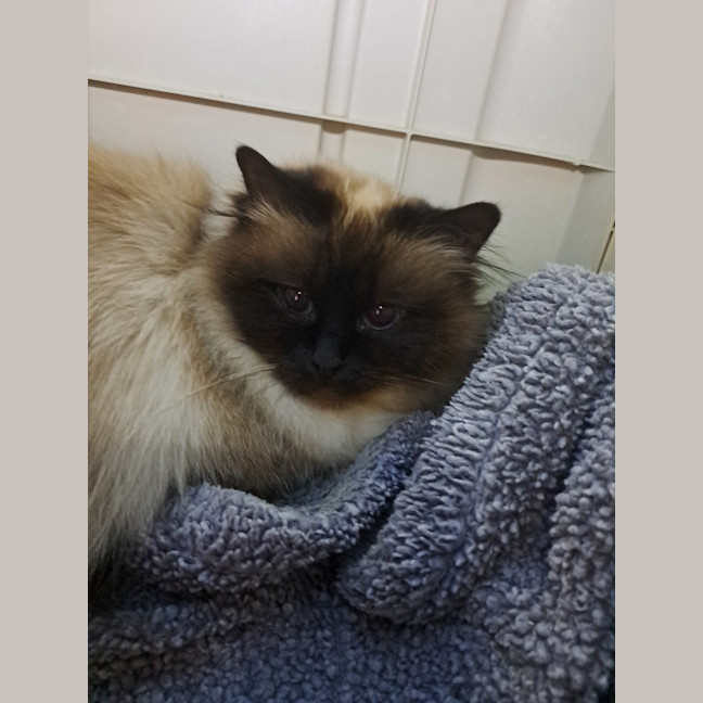 Photo of Dolly Parton