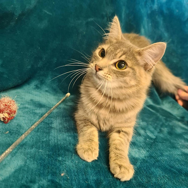 Photo of Gladys