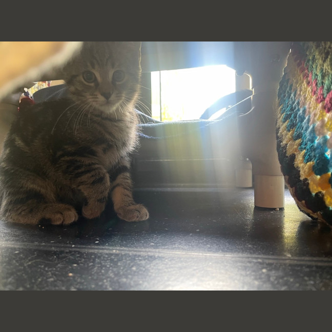 Photo of Mr. Wiggle