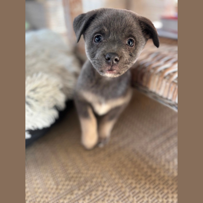 Photo of Bernie 