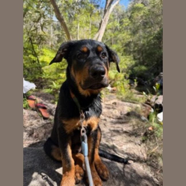 Photo of Bundee