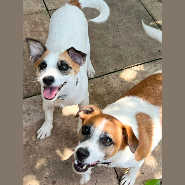 Photo of Pippa & Posy