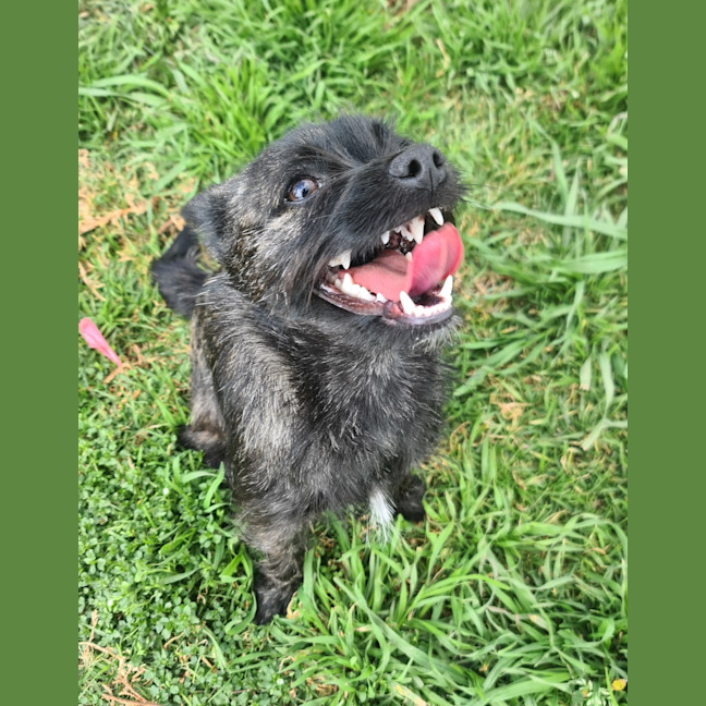 Photo of Peggy