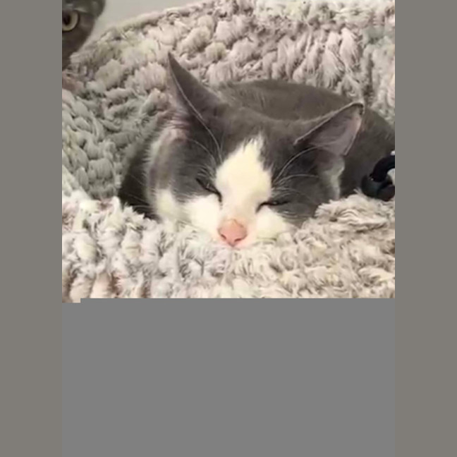 Photo of Oliver