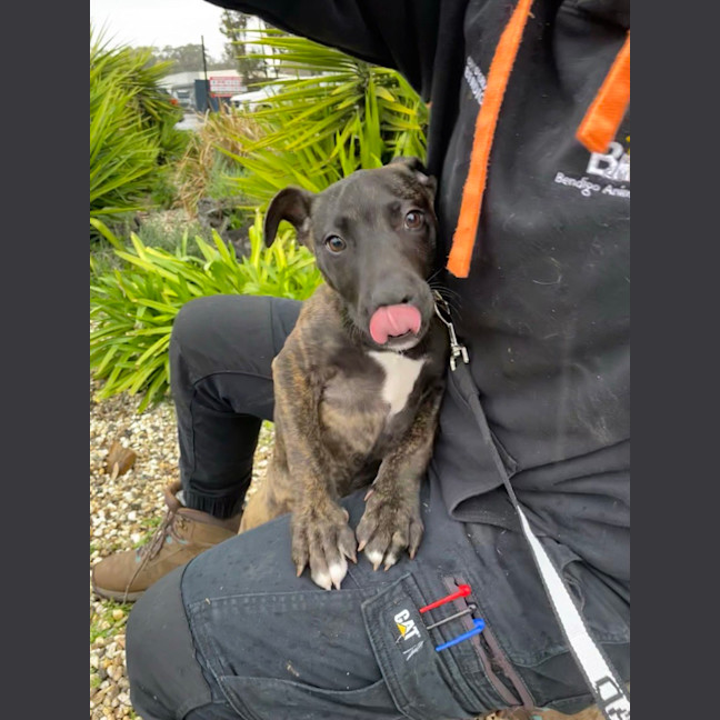 Photo of Long Walk On The Beach
