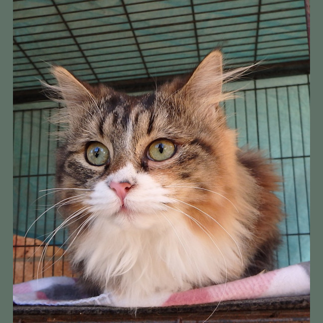 Photo of Hazel And Hannah