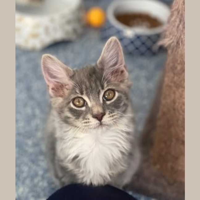 Photo of Bobbi