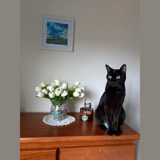 Photo of Penny