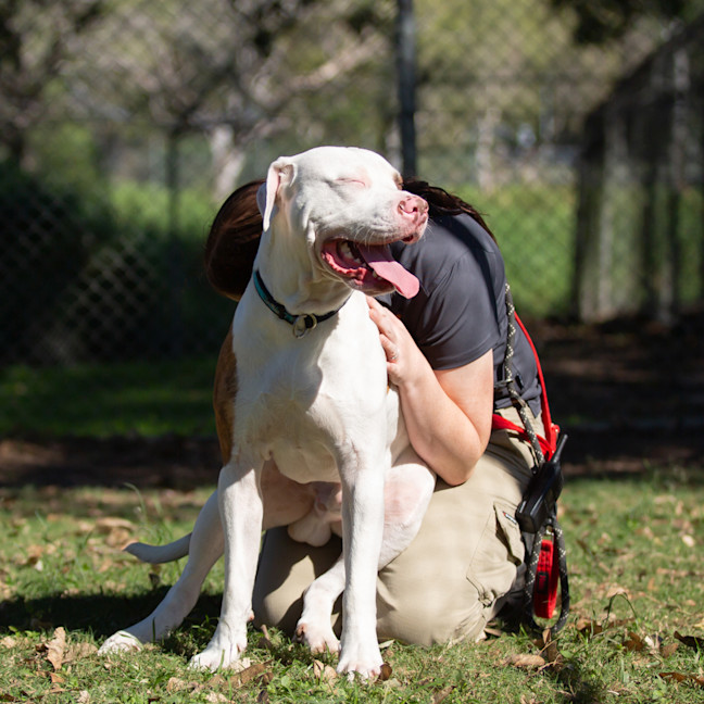 Photo of Max