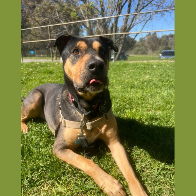 Photo of Tex 
