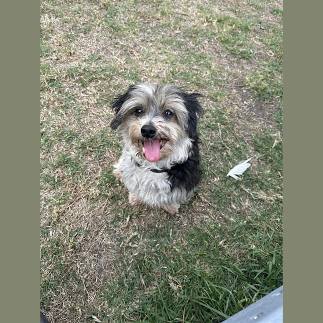 Photo of Libby & Jack