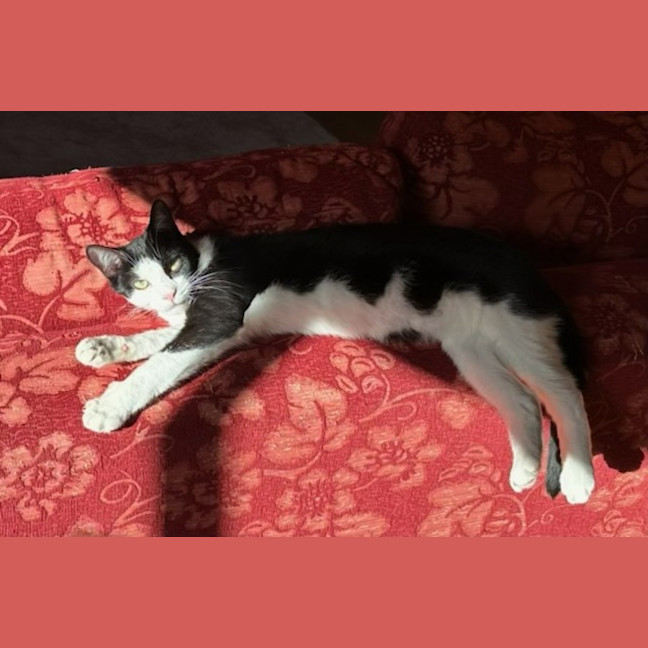 Photo of Mimi