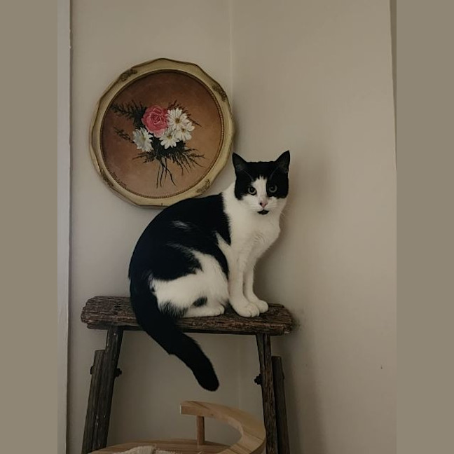 Photo of Melvin