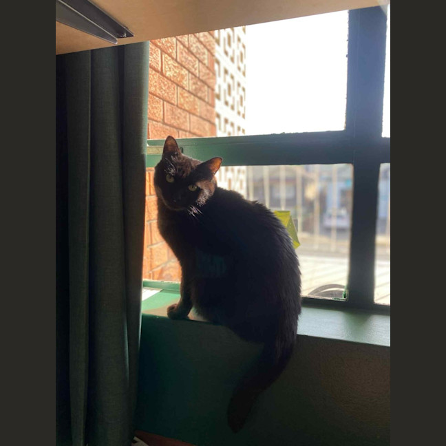 Photo of Neo