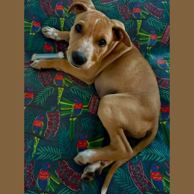 Photo of Axel