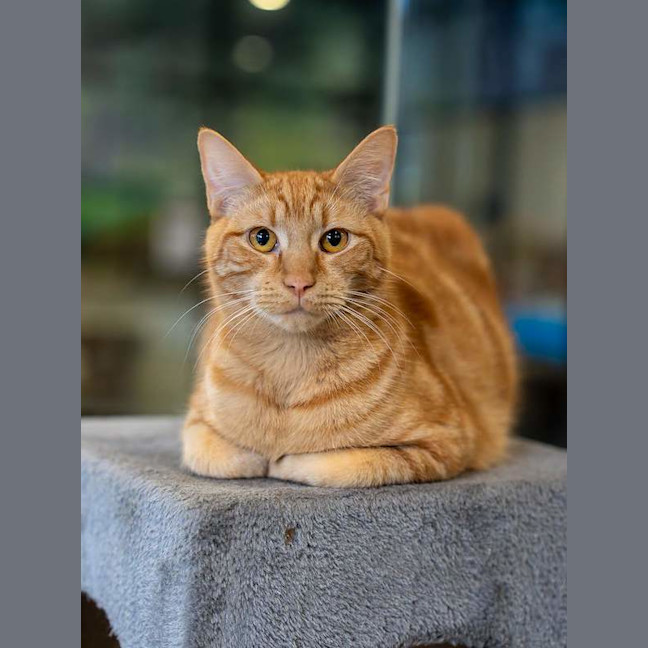 Photo of Maverick
