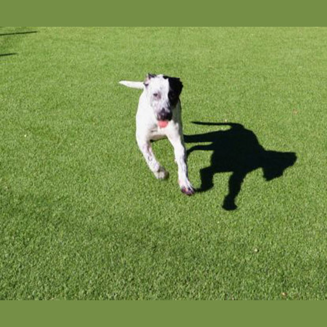 Photo of Missy