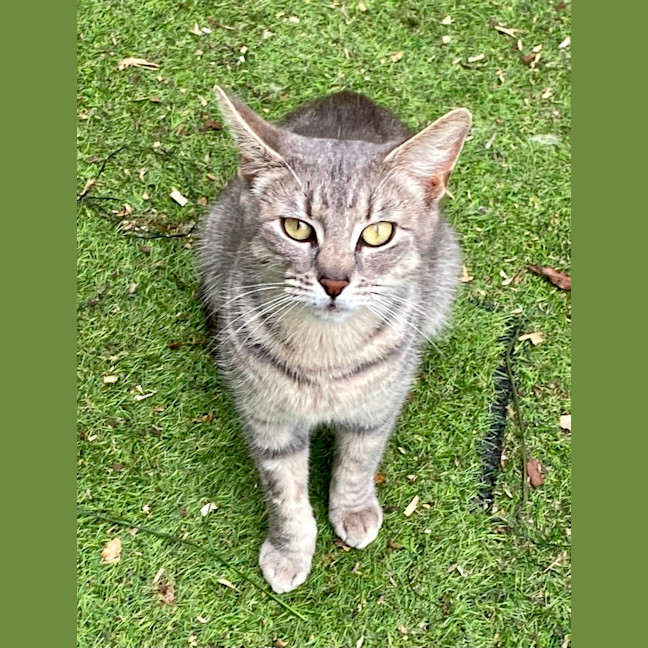 Photo of Portia