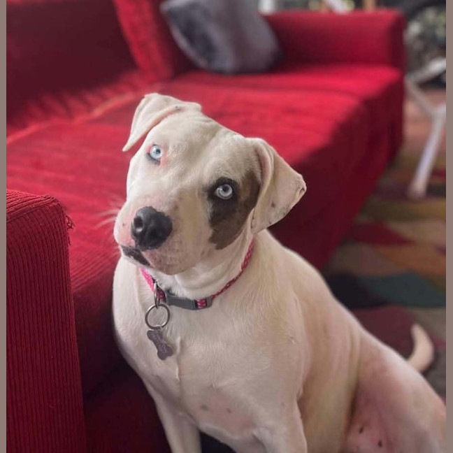 Photo of Jazz