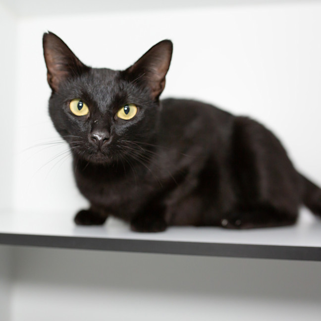 Photo of Lucy (Mamma)