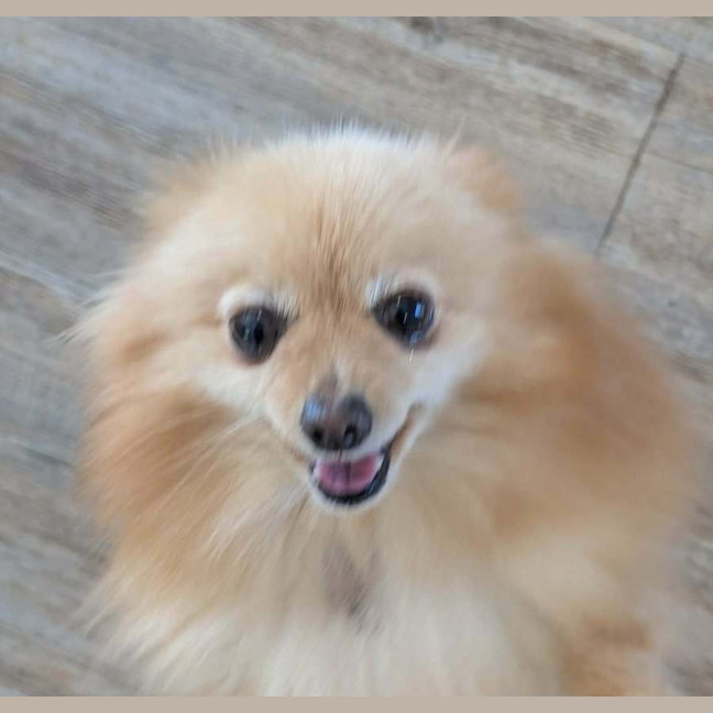Photo of Betty