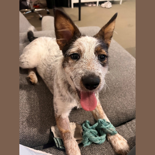 Photo of Molly