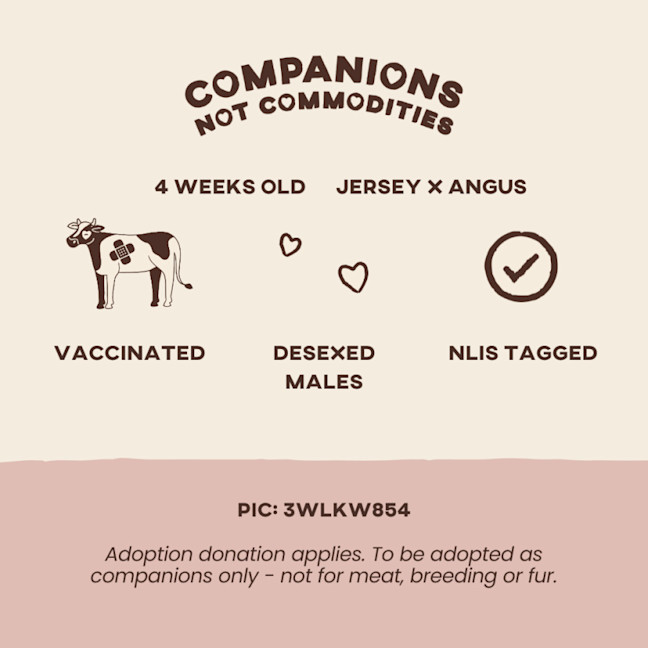 Photo of Bubba & Gump