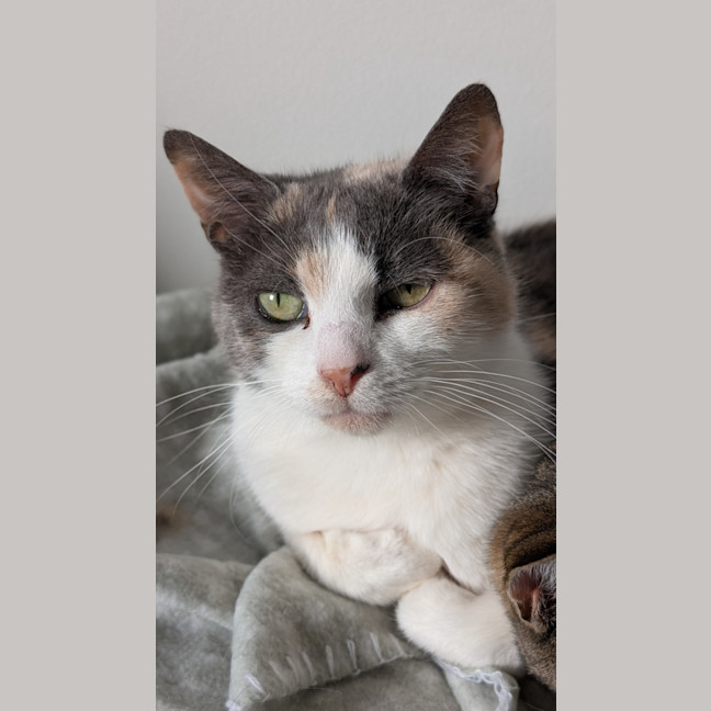 Photo of Mabel