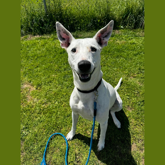 Photo of Rae (64446)