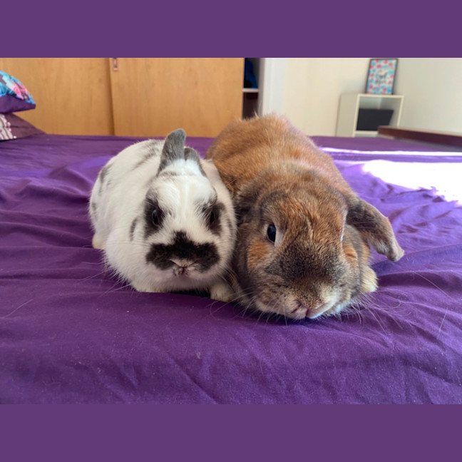 Photo of Scooter And Ivy 