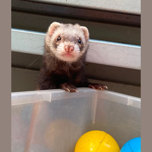 Photo of Luna & Rory