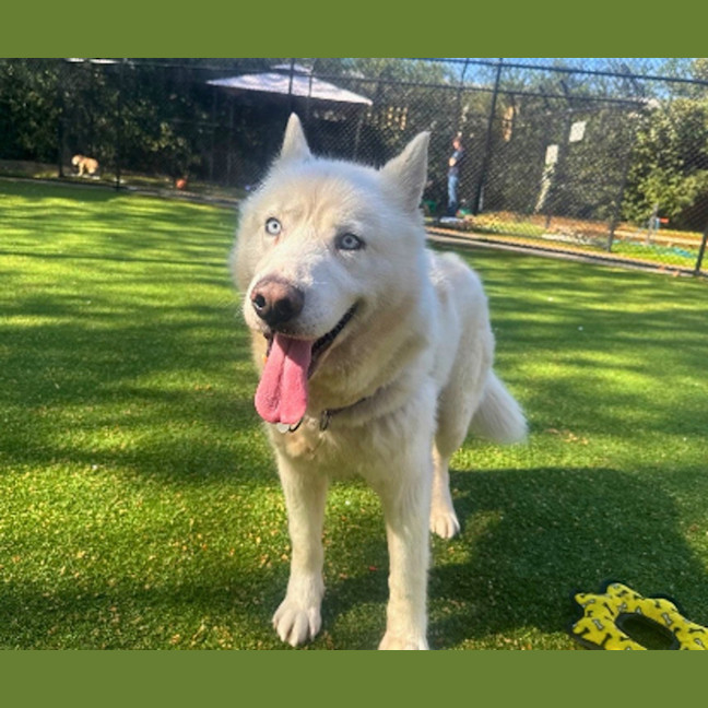 Photo of Axel