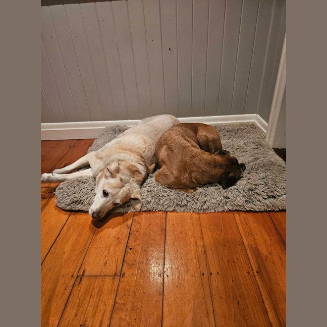 Photo of Riley And Lola