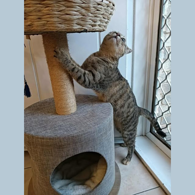 Photo of Lealo