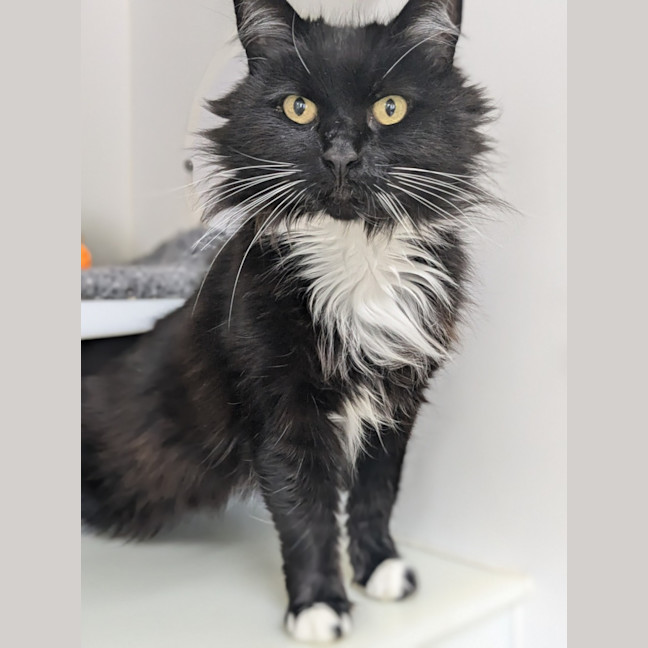 Photo of 🥞 Crepes 5730 🥞