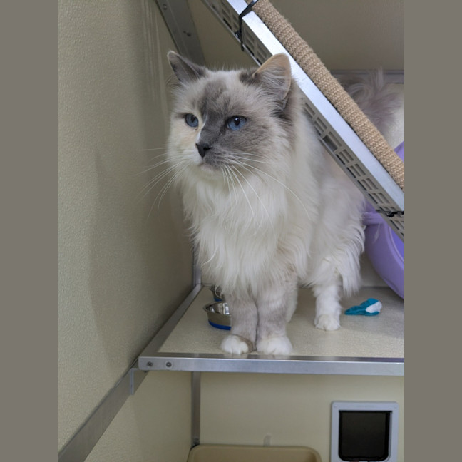 Photo of ⭐ Missy 6436 ⭐