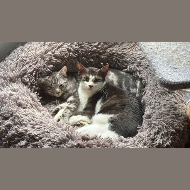 Photo of Tommy And Alice