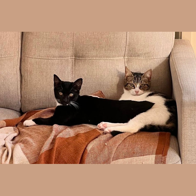 Photo of Honey & Rory 🥰