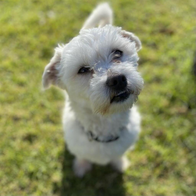 Photo of Charlie