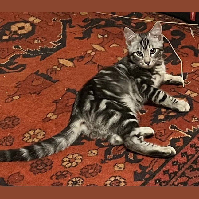 Photo of Smoke